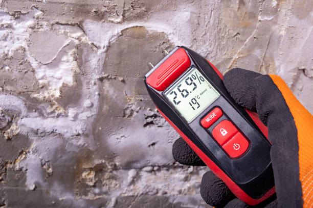 Mold Removal and Inspection in Holiday Island, AR